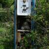 Close up view of this
vintage 1930's gas pump.
Carta Valley.