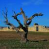 Fort McKavett's parade grounds (125+ years later)