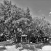 Another B&W shot.
Luckenbach Post Office.
