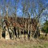 A long overgrown farm house near McGregor, TX.