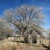 Austere old site in
Bledsoe, Texas.