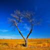 Texas Panhandle Scenery~
Near Howardwick, Texas.