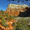 Floor Of The Valley~
Zion National Park.