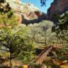 Virgin River Walking Bridge~
Floor Of The Valley~
Zion Canyon, Utah.