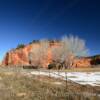 Abandoned ranchstead~
Southern Utah.