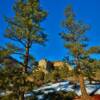 Southern Utah Pines~
Zion National Park.