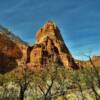 "Pinecone formation"
South Pine Valley Mountains~
Zion National Park.