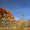 Western Pine Valley Mountains~
Zion National Park.