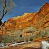 More beautiful red clay shelves~
Zion National Park.