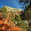 Floor Of The Valley.
Hiking Trail~
Zion National Park.