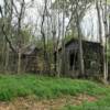 1890's residential remains.
(overgrown by trees)
Buckingham County.