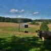 Civil War era cabin
in the rolling field.
near Appomattox Park.