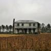 Austere 1901 farm mansion.
Brunswick County.
