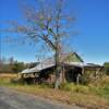 Virginia's history readily appearent along a
backroad in 
Halifax County.