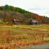 Early 1900's farm setting &
rustic buildings~
Near Low Moor, Virginia.