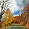 Late autumn foliage~
Botetourt County, VA