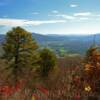 Pine Tree Overlook~
North-central Virginia.
Along the Blue Ridge Parkway.