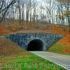 Bluff Mountain Tunnel~
(South entrance).

