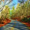 Blue Ridge Parkway~
Autumn in the high Appalachians.
