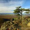 Ravens Roost Overlook~
Blue Ridge Parkway.
(Central Virginia).