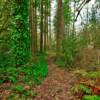 Milbrand walking trail (private)
Neat Hockinsin, Washington.