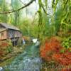 Cedar Creek Grist Mill~
(built in 1876)
Near Woodland, WA.