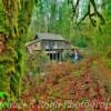 Cedar Creek Grist Mill~
(southern angle)