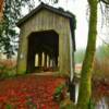 Millbrandt Covered Bridge~
(western angle)