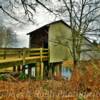 Grays River Covered Bridge~
(northern angle)