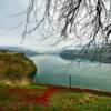 Columbia River~
(looking east)
Near Lyle, WA.