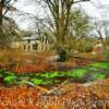 Abandoned 1890's farm house~
Near Klickitat, Washington.