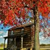 Mid 1850's settlers cabin~
Ravenswood, WV.