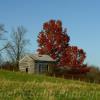 Remains of an early 1900's settlers home.
(Near Fort Spring, WV).