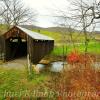 Locust Creek Covered Bridge~
Near Denmar, WV.