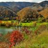 Scenic overlook~
New River Gorge.
Near Hinton, WV.