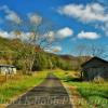 Laural Creek Road~
Monroe County, WV.