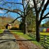 Laurel Creek Covered Bridge & the old village of Laurel Creek.
Monroe County.
