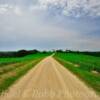 More interior scenery~
Near Leon, Wisconsin.