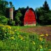 Burgandy red barn-near Boyceville, Wisconsin