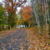 A few autumn 'reds' 
Chippewa County.