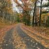 Fallen October leaves.
Chippewa County.