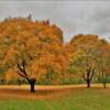 Beautiful autumn colors.
Kenosha County.