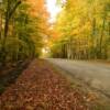 Washington Island backroad
at autumn's peak.