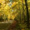 Another peek at this
Ellison Bluff backroad.