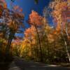 Cottage Road autumn colors.
Near Gills Rock, WI.