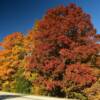 Some brilliant autumn colors.
Northern Door County.