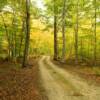 Scenic lane on northern
Washington Island.