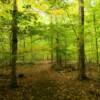 Beautiful hiking trail in
Mountain Park.
Washington Island.