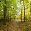 Scenic hiking trail near the
Mountain Park Lookout Tower.