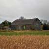 Another old classic barn near
Green Bay, WI.